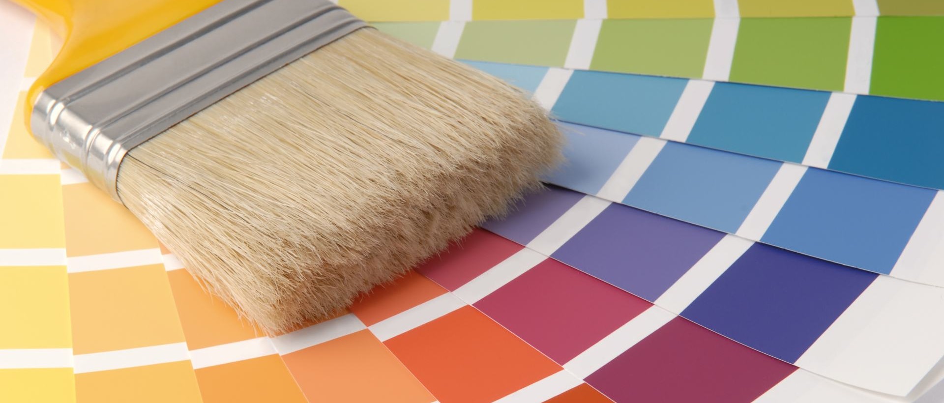 Painter N8
